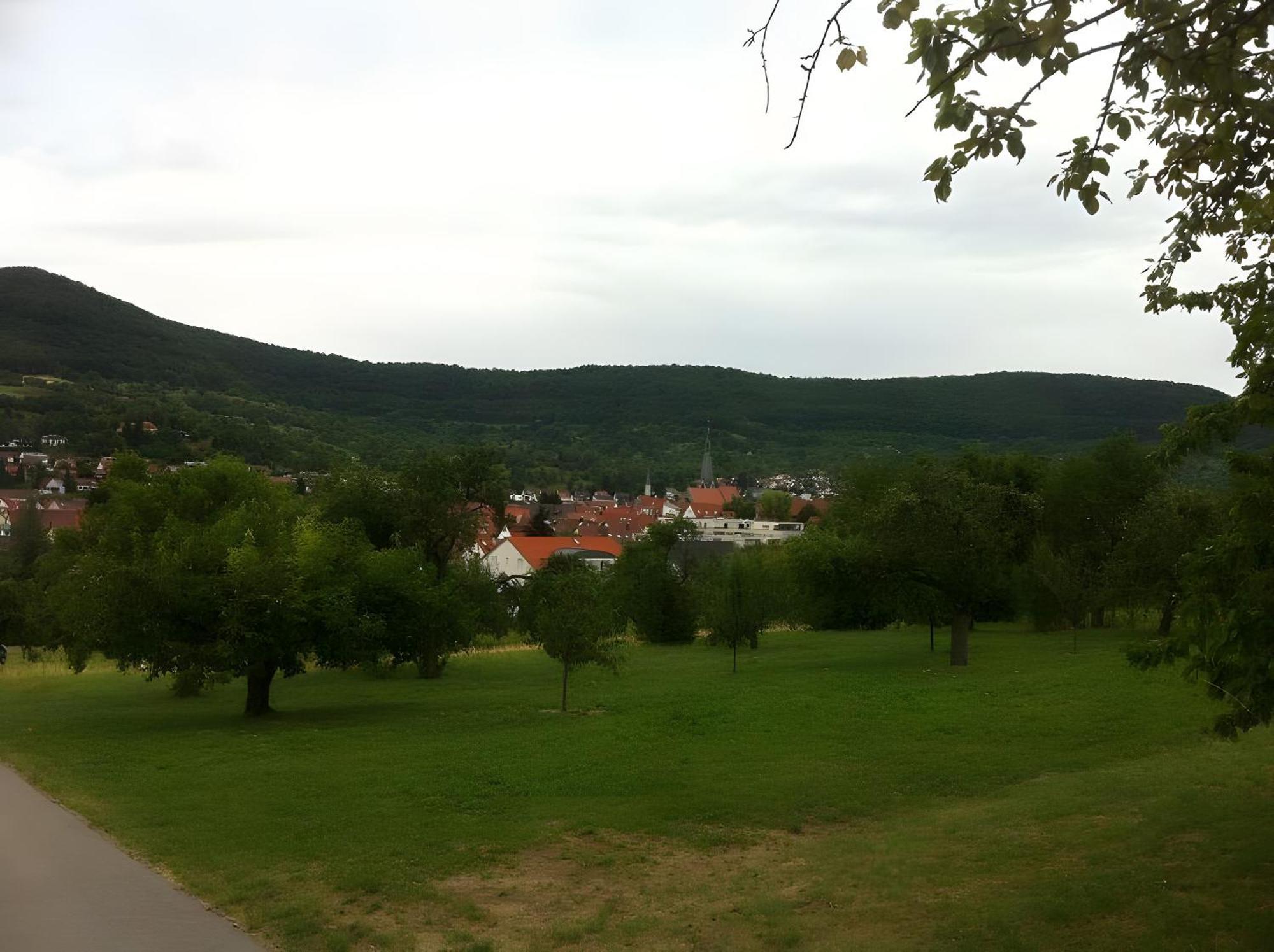 Ferienwohnung Holder Dettingen an der Erms エクステリア 写真